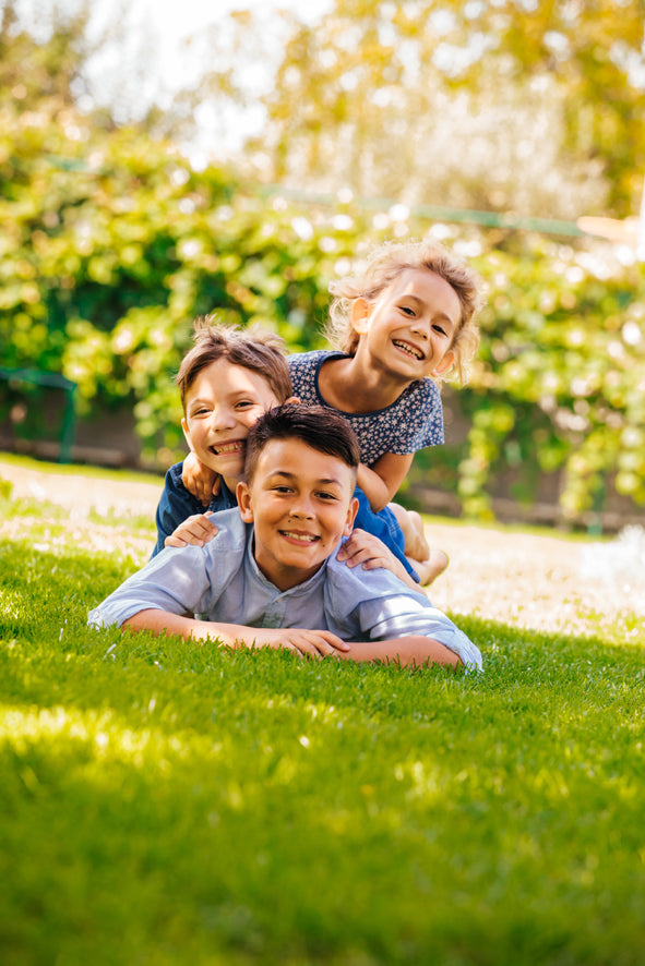 Sibling DNA testing pay in full
